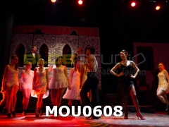MOU0608.jpg